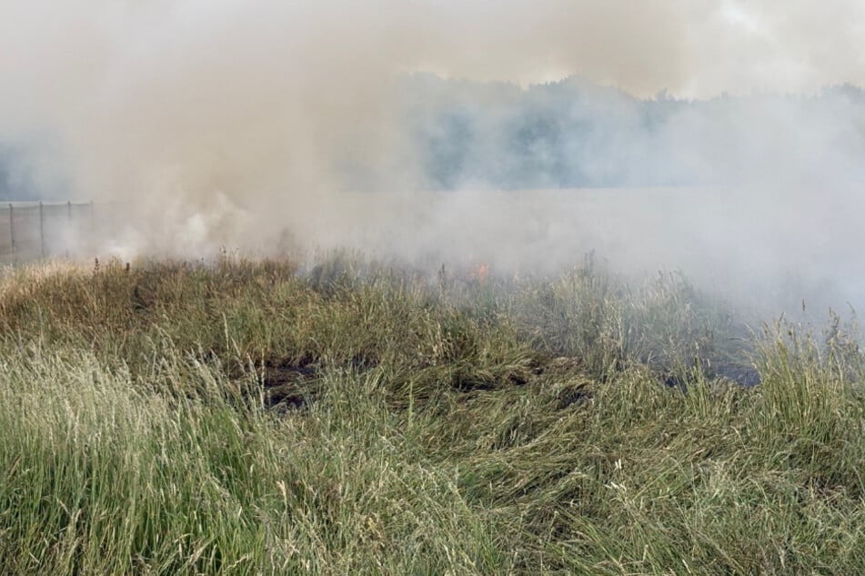 Abgefeuerte Silvesterraketen sorgen für riesigen Flächenbrand