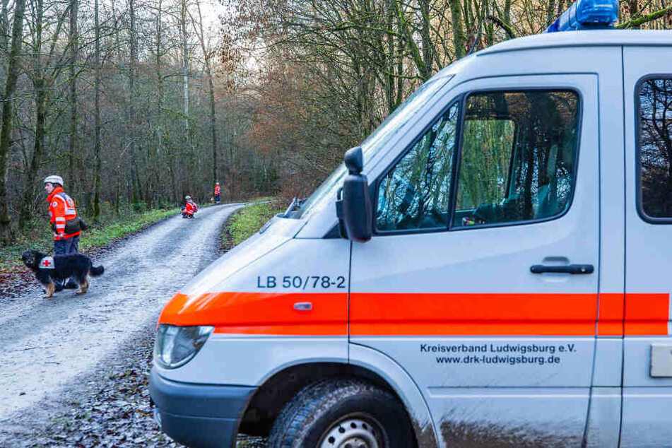 Hundeführer suchen mit den Mantrailern im Wald am Donnerstag.