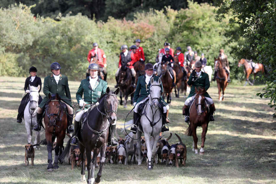 Bei der unblutigen Schleppjagd für den guten Zweck nahmen auf Usedom 80 Reiter und 30 Hunde teil.