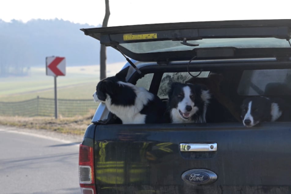 Pick-up kracht in VW: Als Polizei Ladefläche untersucht, bietet sich ihr dieses Bild