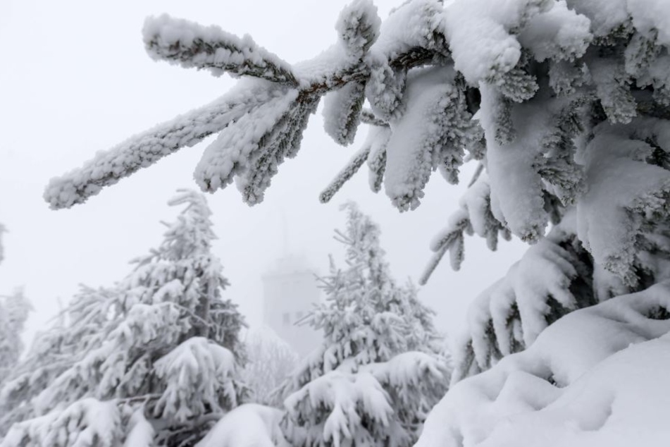 Viel Schnee auf dem Fichtelberg.