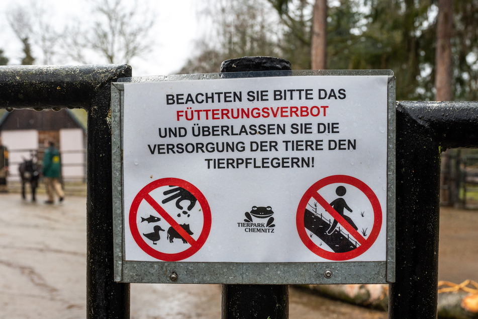 Warnung vor unzulässiger Fütterung: Der Tierpark versucht, die Spaziergänger mit Absperrungen von den Eseln fernzuhalten.