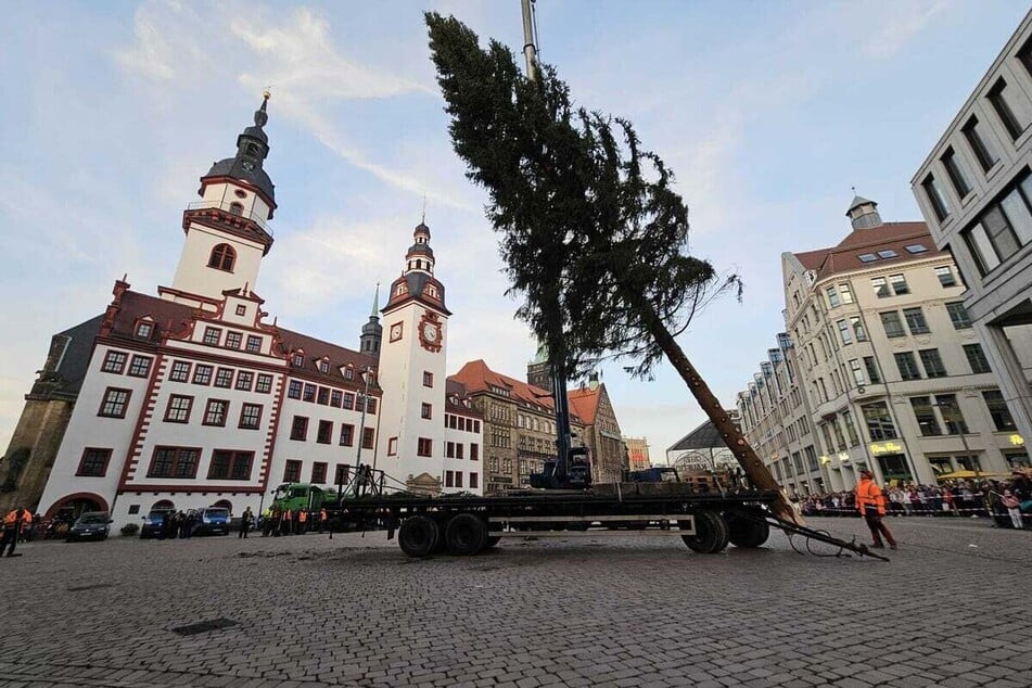 Die Fichte wurde mithilfe eines Krans aufgestellt.