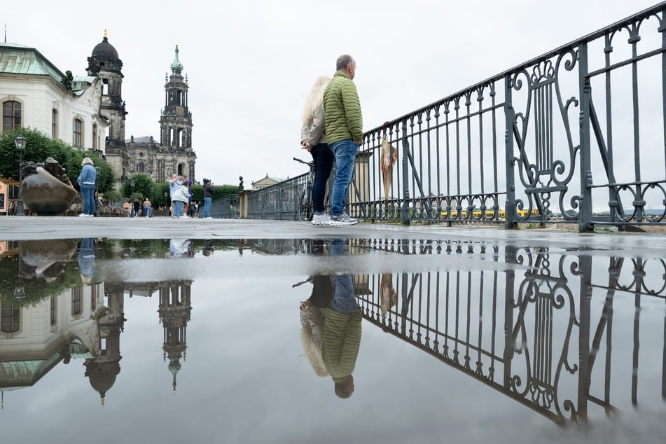 Nass und grau: Der Herbst macht sich in Dresden zunehmend bemerkbar.