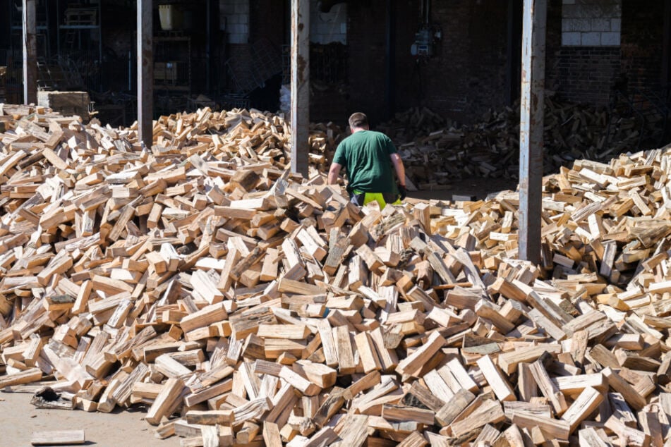 Ist Holzverbrennung nachhaltig? Diese Frage ist seit Jahren ein Streitpunkt.
