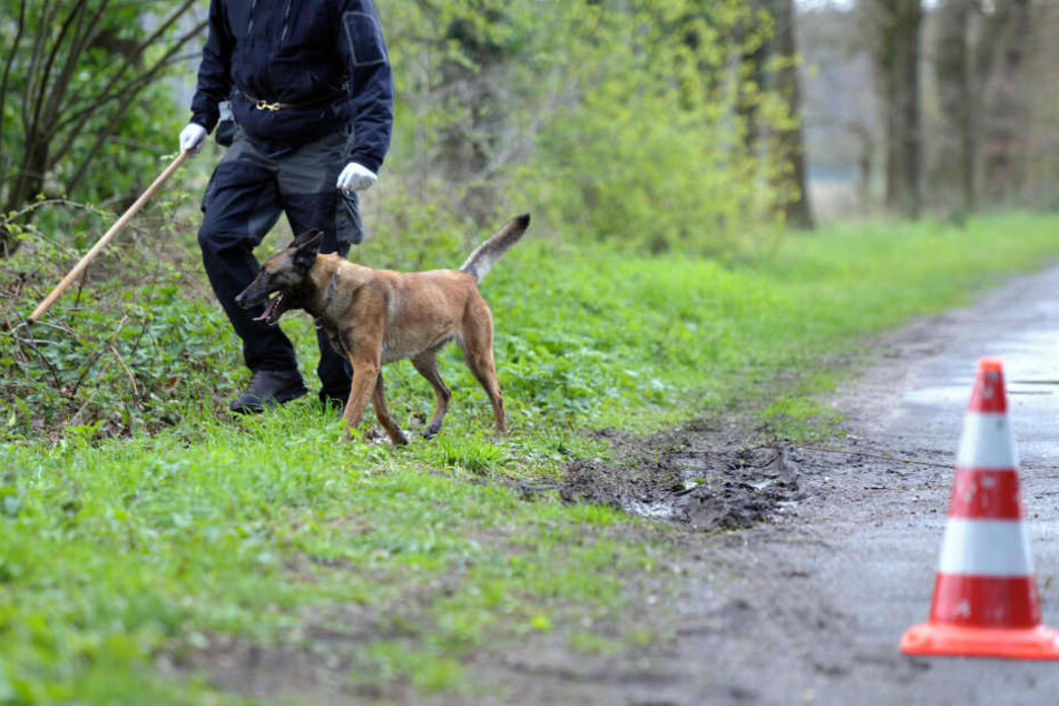 Die Polizei suchte mit einem Leichenspürhund nach den sterblichen Überresten des seit dem Jahr 2000 vermissten Mannes (Symbolbild).