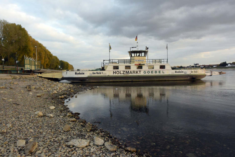 Am Rhein ist der Pegel seit Monaten sehr niedrig, schränkt die Schifffahrt stark ein.