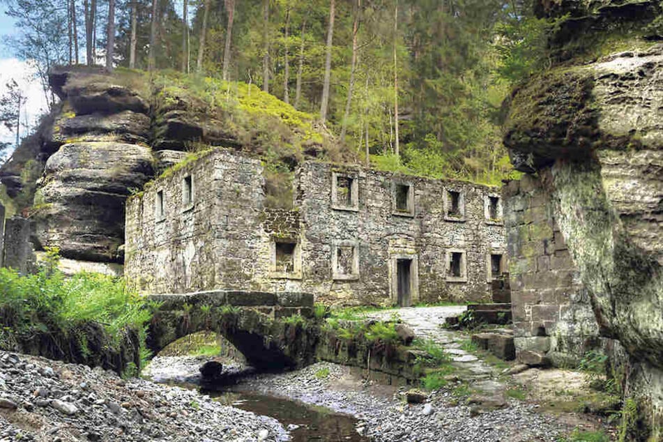 Die Ruine der Grundmühle steht weit der sächsisch-tschechischen Grenze. Hier wird der Film mit Millionenbudget gedreht.