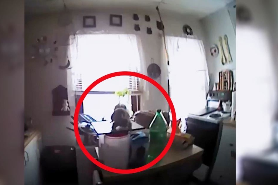 Die Beamten staunten nicht schlecht, als das Eichhörnchen plötzlich zum Angriff überging.
