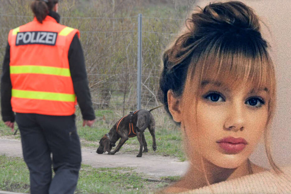 Vermisste Rebecca: Blieb die Suche mit Hunden erneut erfolglos?