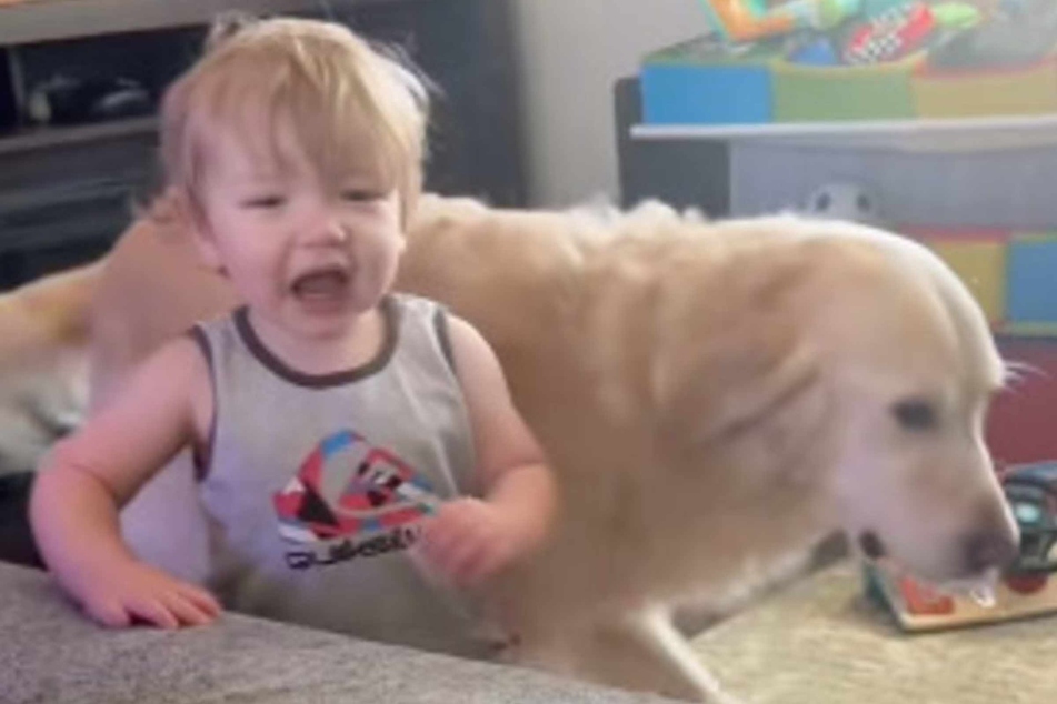 Dog and baby bicker like true siblings in hysterical footage: "It's my binky now"