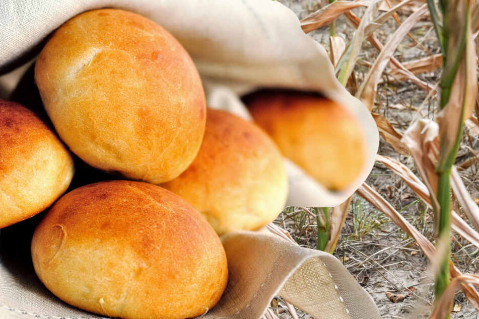 Wegen der Dürre werden sich die Preise für Brötchen und andere Backwaren wahrscheinlich erhöhen.