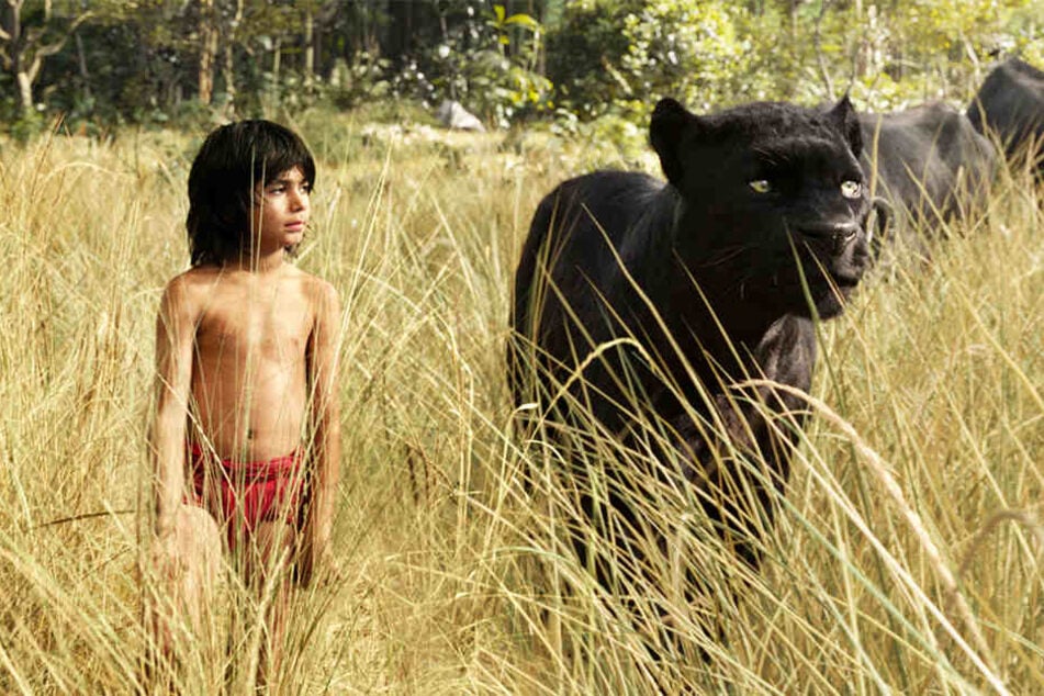 Disney's "The Jungle Book" gewann 2017 den "Oscar" für seine bahnbrechenden Spezialeffekte.