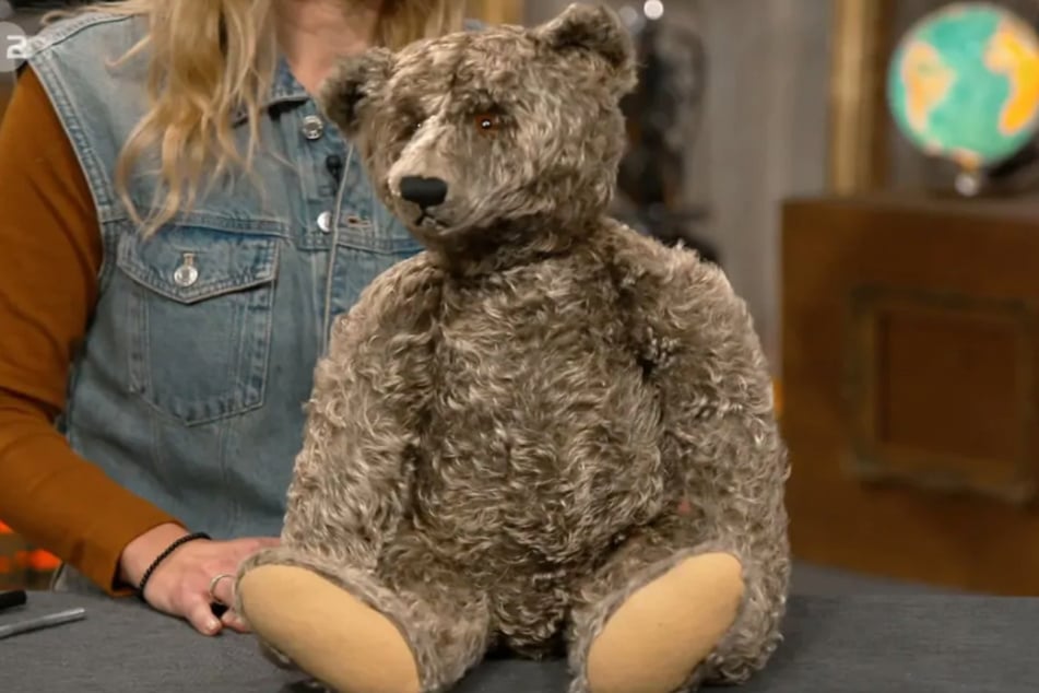 Das "Steiff"-Tier mit dem traditionellen Knopf im Ohr soll laut Expertise zwischen 1922 und 1925 hergestellt worden sein.