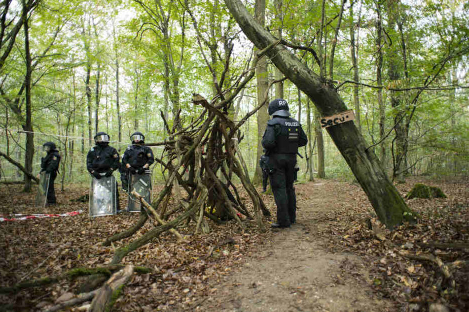 Die Polizei vor einem Jahr im Hambacher Forst.