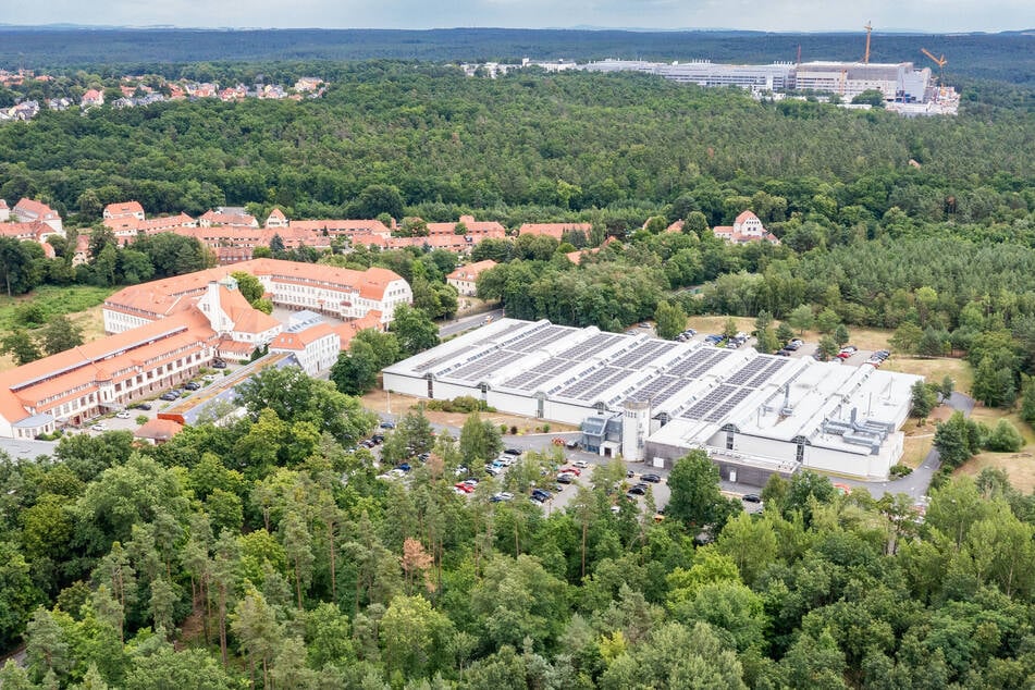 Die Arbeiten im Waldstück südlich von Hellerau laufen in Richtung der großen Chip-Fabrik von Infineon (Hintergrund).