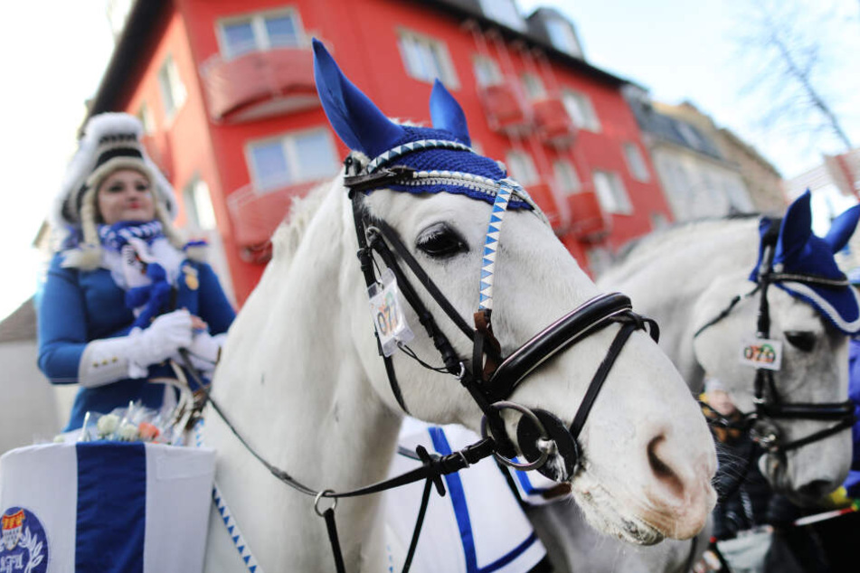 Eine Karnevalistin auf einem Pferd nimmt am Rosenmontagszug teil.