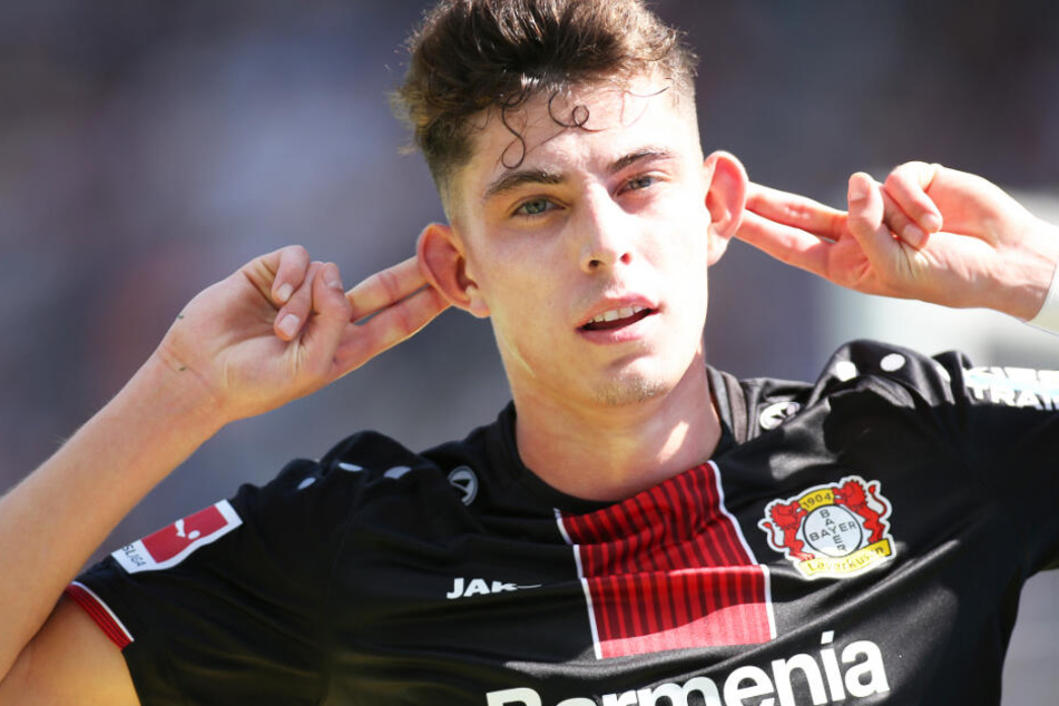 Leverkusens Shootingstar Kai Havertz hat das Interesse des FC Bayern München geweckt.
