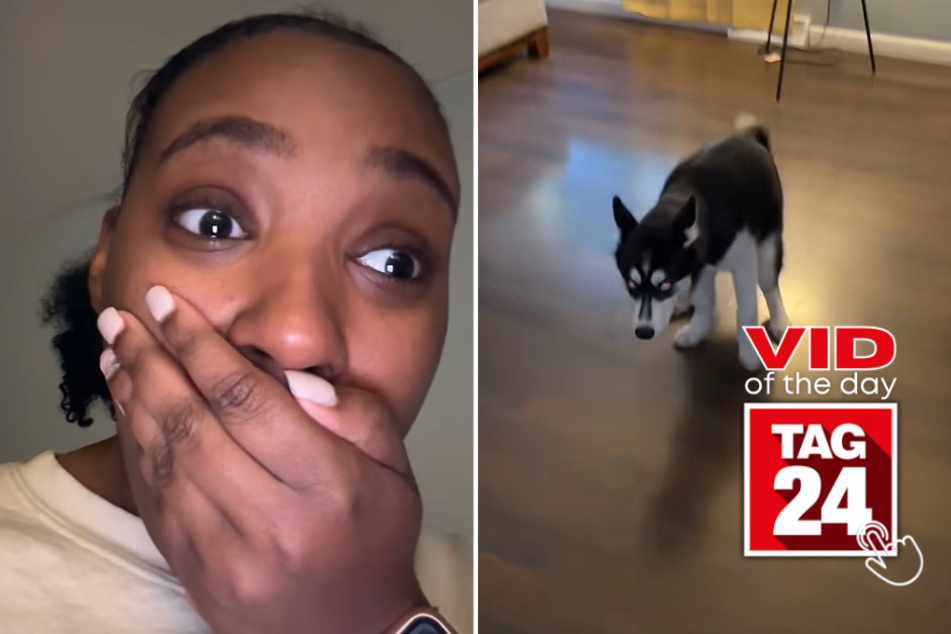 viral videos: Viral Video of the Day for July 24, 2023: Stinky Husky grosses out owner!