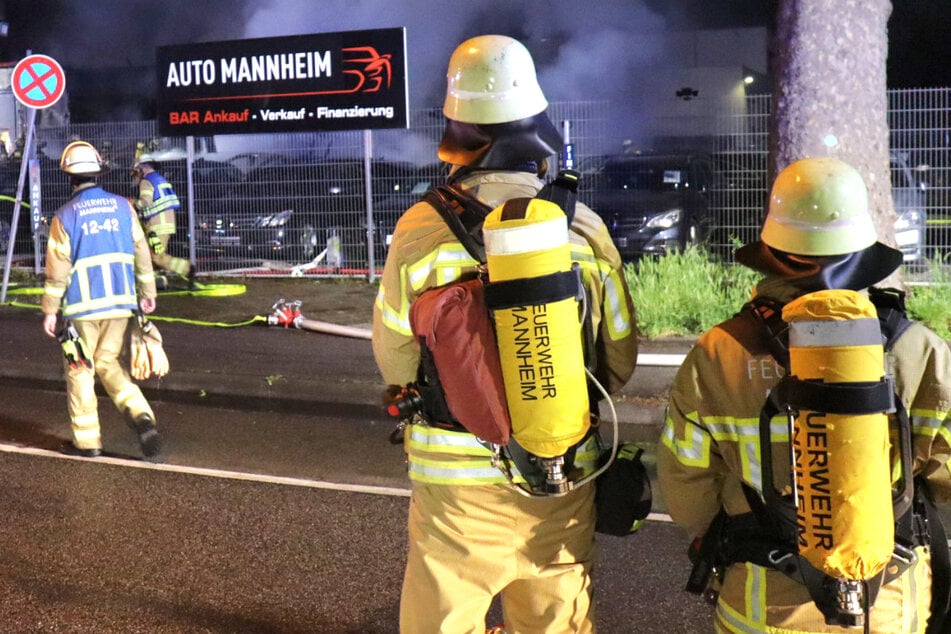 Auf dem Gelände der Firma "Auto Mannheim" brach in der Nacht zu Samstag Feuer aus.