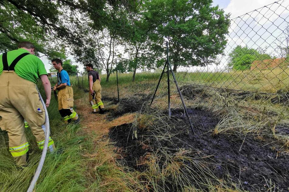 Die Kameraden der Feuerwehr brachten den Vegetationsbrand schnell unter Kontrolle.