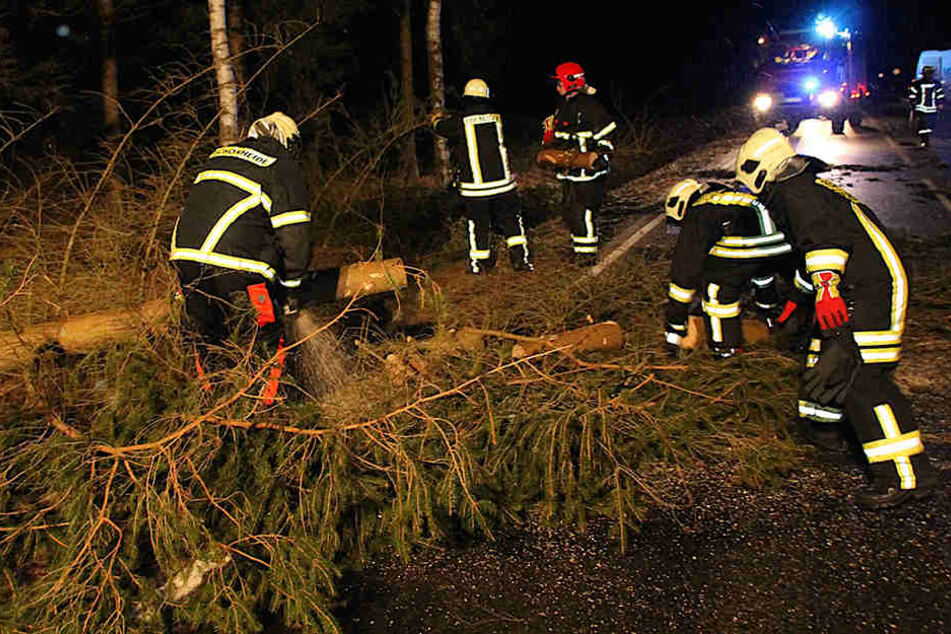 Auf der B283 waren die Einsatzkräfte am Freitagmorgen noch mit dem Freischneiden der Straße beschäftigt.