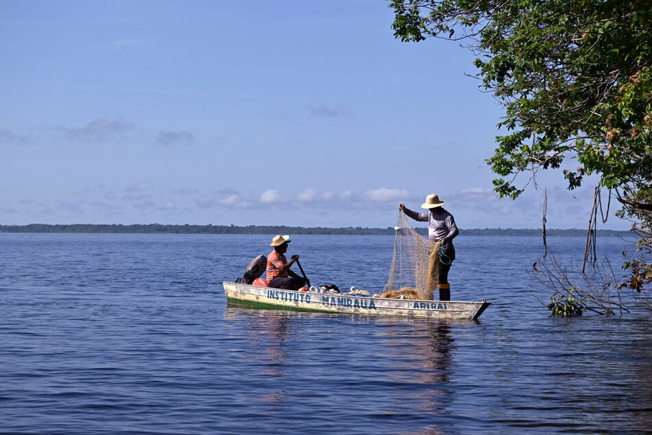 Brazil's Lake Tefe rose to temperatures as high as 106°F.