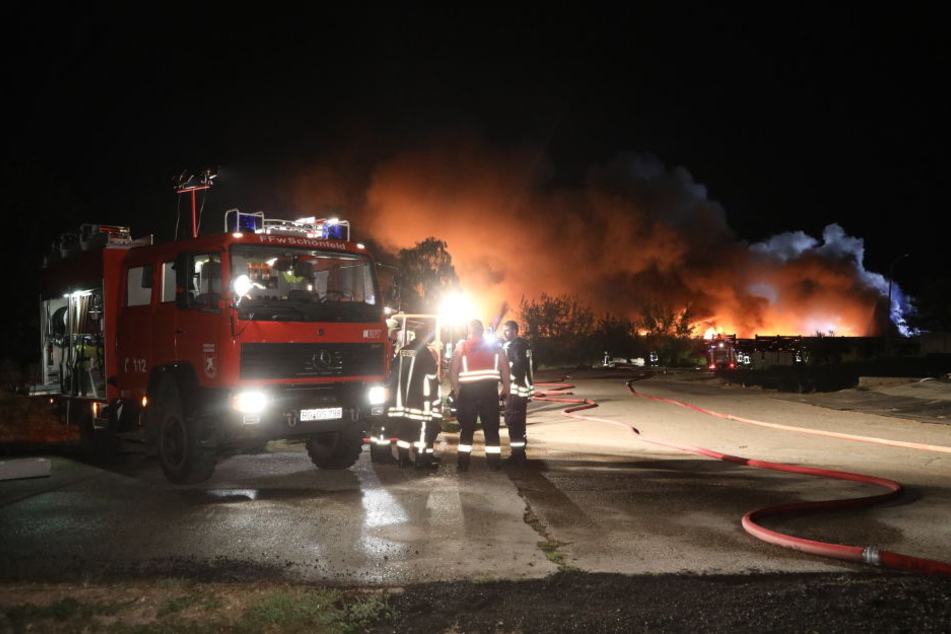 Beim Brand der Recyclinganlage bei Quersa im Landkreis Meißen lodern meterhohe Flammen.