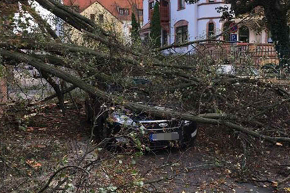 In Grimma wurden mehrere Autos beschädigt.