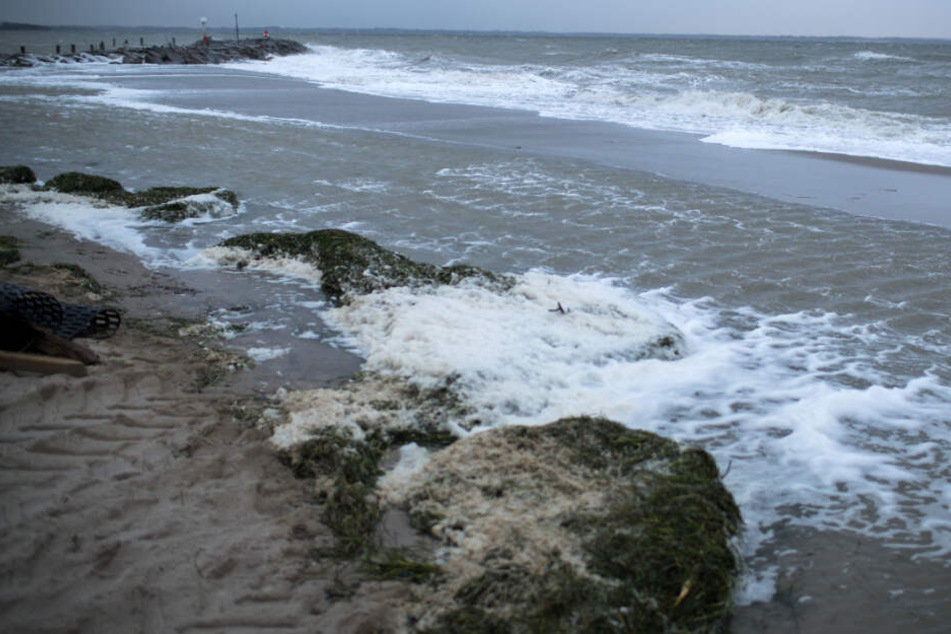 Am Timmendorfer Strand fanden Spaziergänger eine leblose Person im Wasser. (Symbolbild)