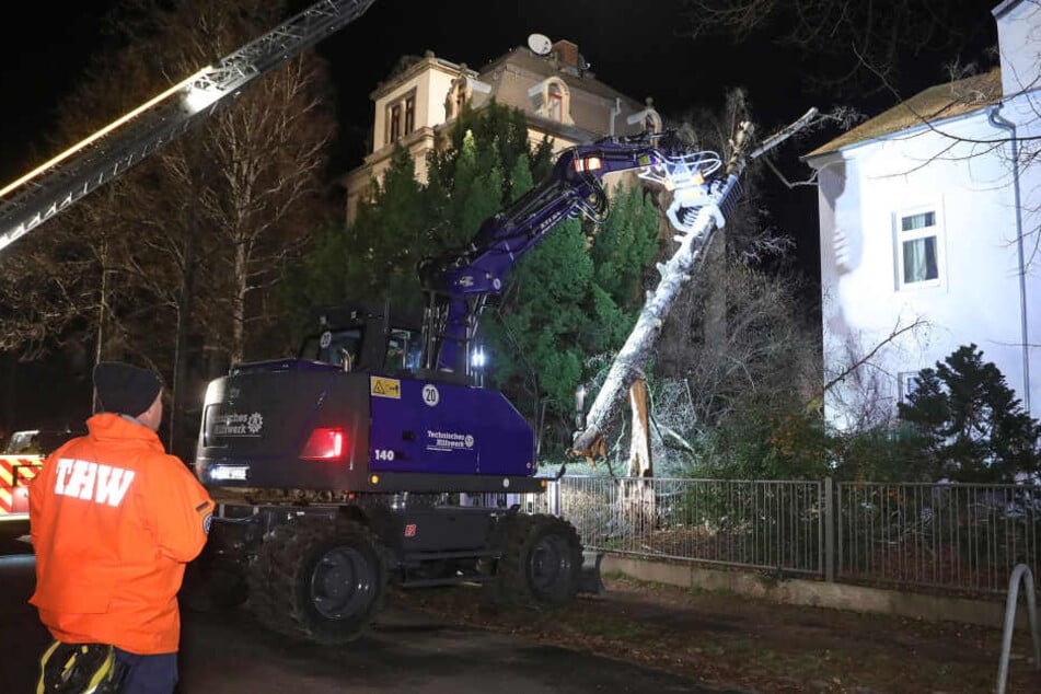 Eine Birke musste mit einem nagelneuen Bagger des THW in der Dresdner Behrischstraße von einem Mehrfamilienhaus geholt werden. Sie beschädigte das Dach und den Schornstein.