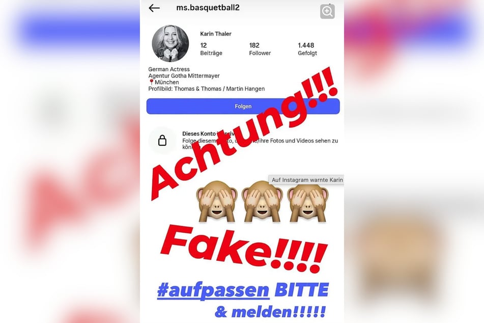 Mit einem Screenshot macht Thaler auf das Fake-Profil aufmerksam.