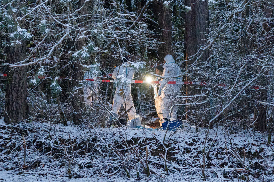 Im November 2024 wurde die Leiche einer Vermissten aus Pommelsbrunn in einem Wald gefunden.