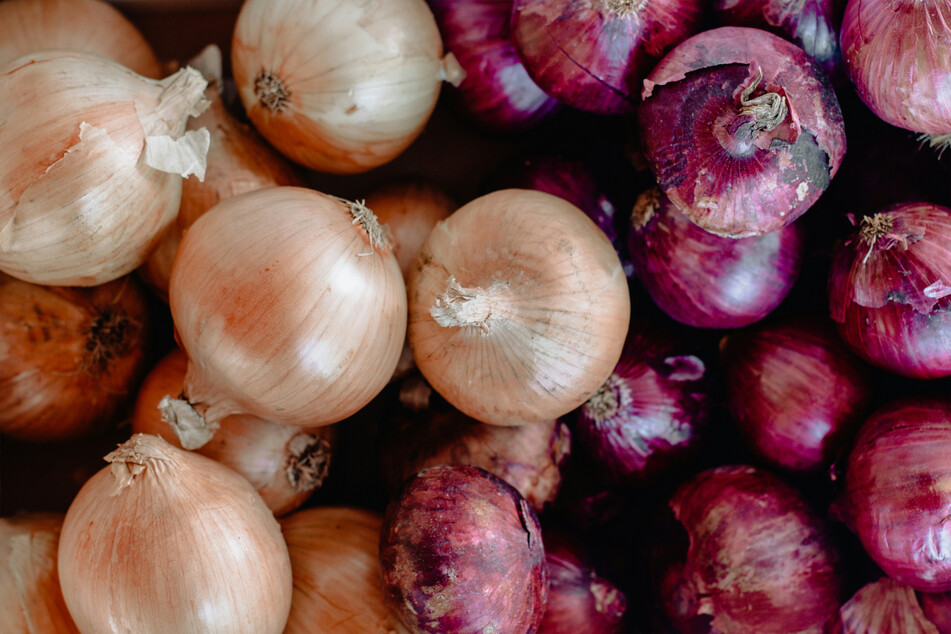 Onions, garlic, and all allium ingredients are highly poisonous for both dogs and cats.