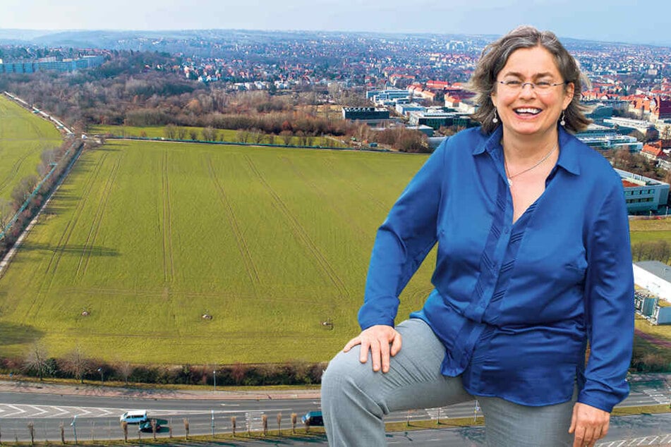 Der Blick von der Bergstraße in Richtung Westendring zeigt die ungefähren Ausmaße des neuen Südparkes. Eva Jähnigen (52, Grüne) ist als Umweltbürgermeisterin für den Südpark zuständig. 