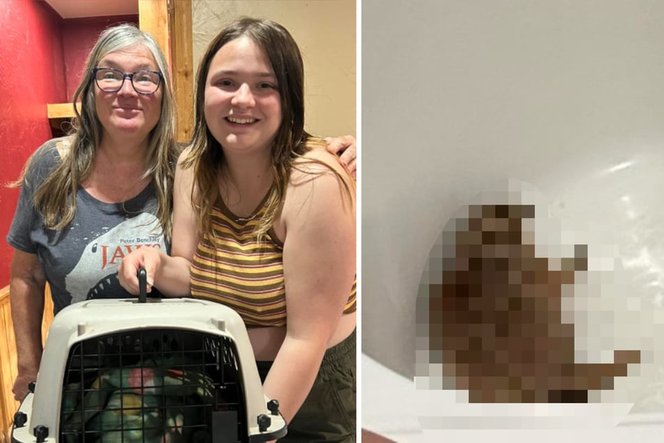 Mutter und Tochter machen schockierende Entdeckung in Hotelzimmer