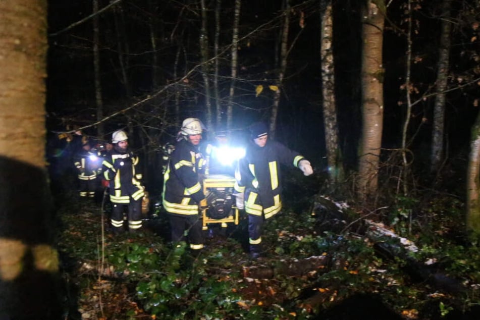 Feuerwehrleute bei ihrem Einsatz in dem Waldstück.