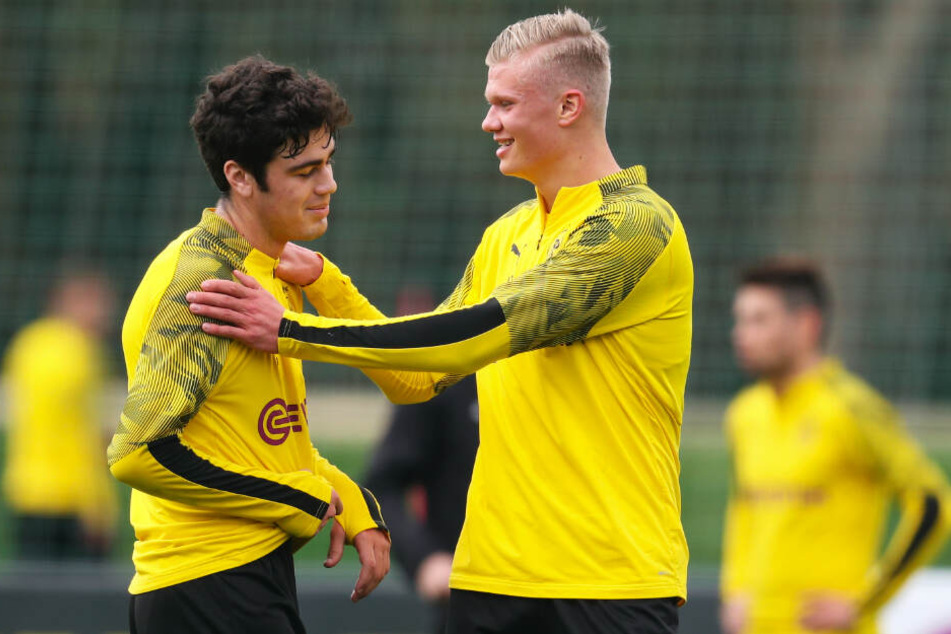 Giovanni Reyna (l.) und Erling Haaland könnten in Augsburg ihr Debüt für Borussia Dortmunds Profis feiern.