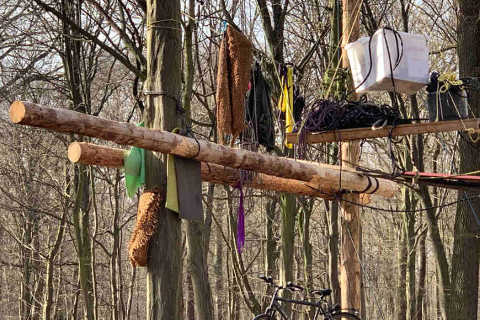 50 Bäume im Hambacher Forst gefällt! RWE stellt Strafanzeige