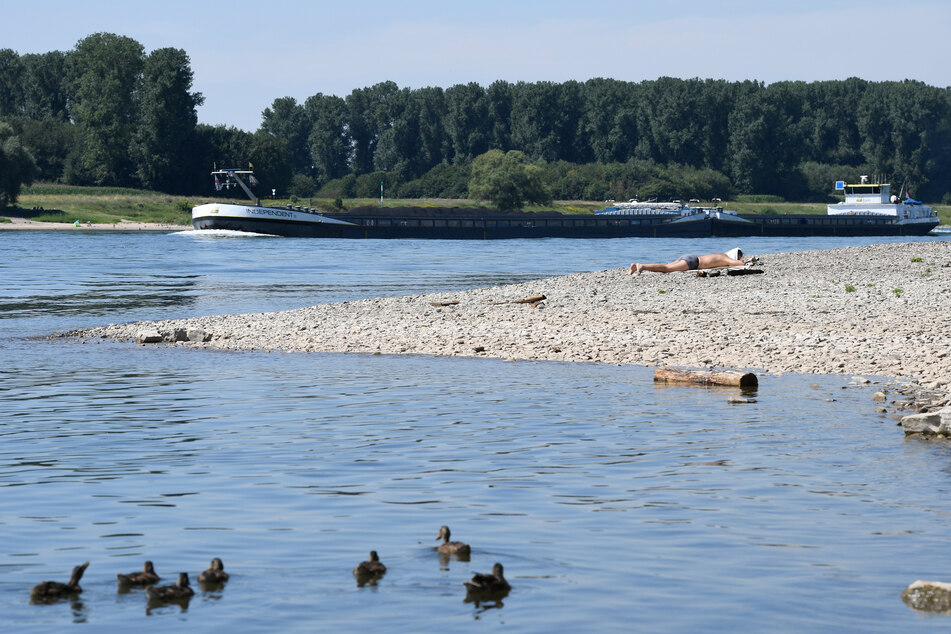 Ein Mann entspannt in der Hitze am Rhein.