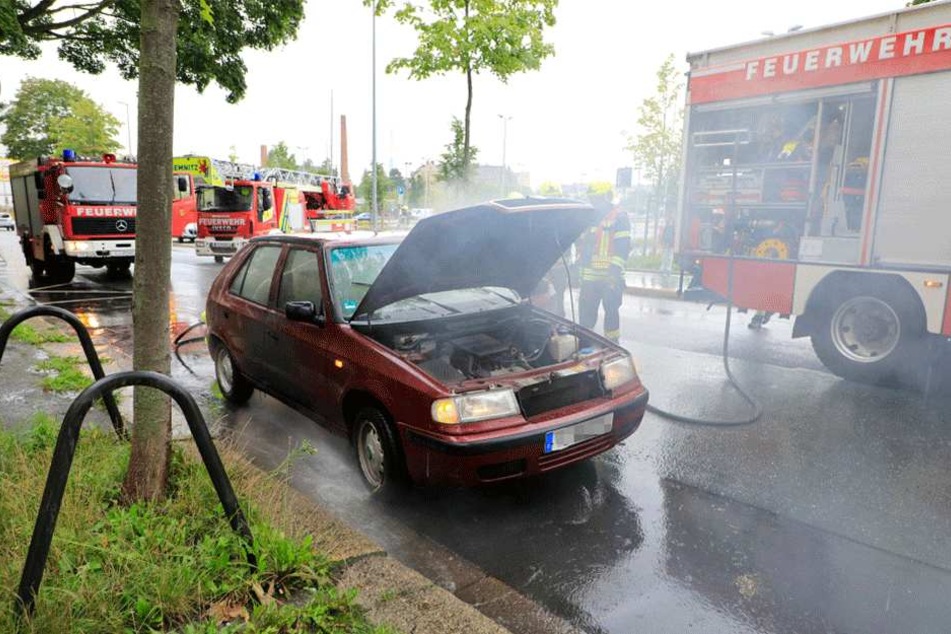 Ein Großeinsatz mit zahlreichen Feuerwehr- und Rettungswagen.