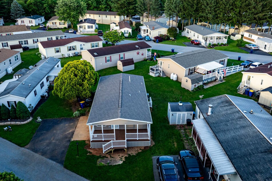 Die unzähligen Katzen befanden sich in einem kleinen Haus. (Symbolfoto)