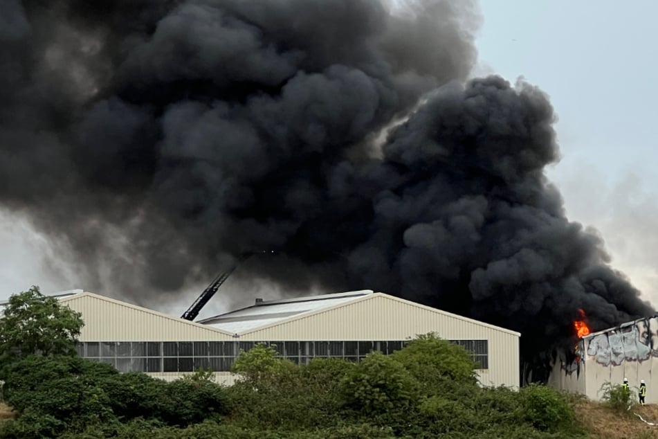 Dramatischer Brand in Entsorgungsbetrieb: Kräfte bringen Flammen unter Kontrolle
