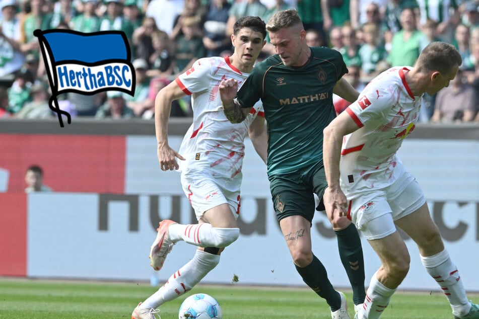 Doch nicht Hrgota? Hertha baggert an Ex-Nationalspieler