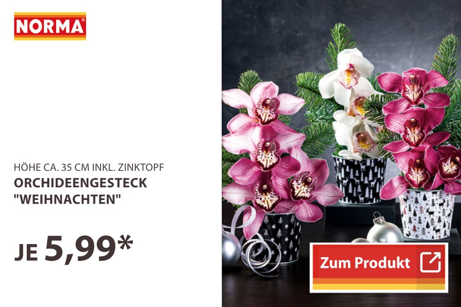 Orchideengesteck "Weihnachten"