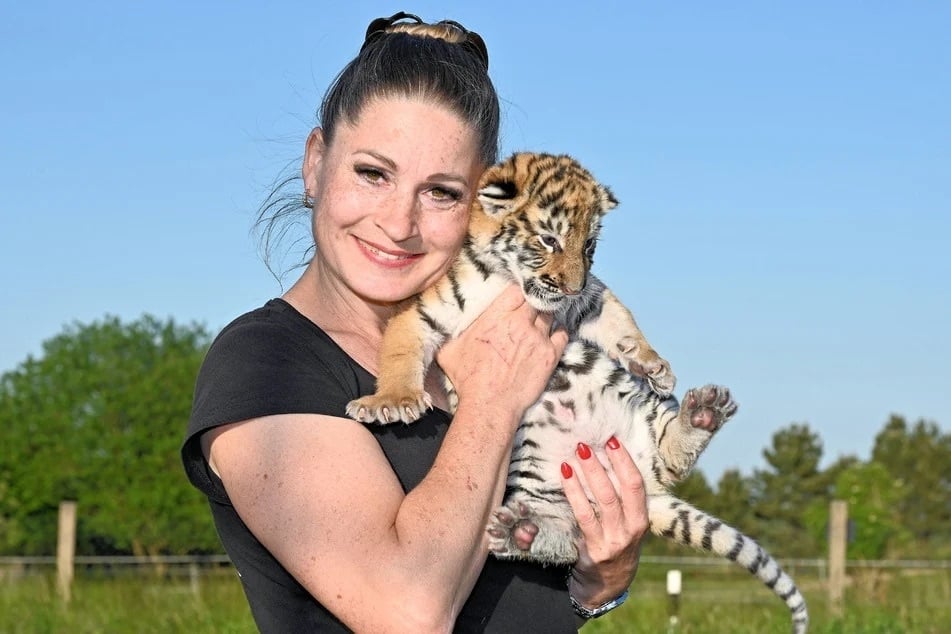 Acht Großkatzen hält Carmen Zander (52) in Dölzig. Es ist fraglich, wo die Tiere hinsollen, falls Zander sie abgeben muss.