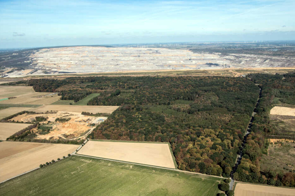 Die Reste des Hambacher Forst am Tagebau Hambach.
