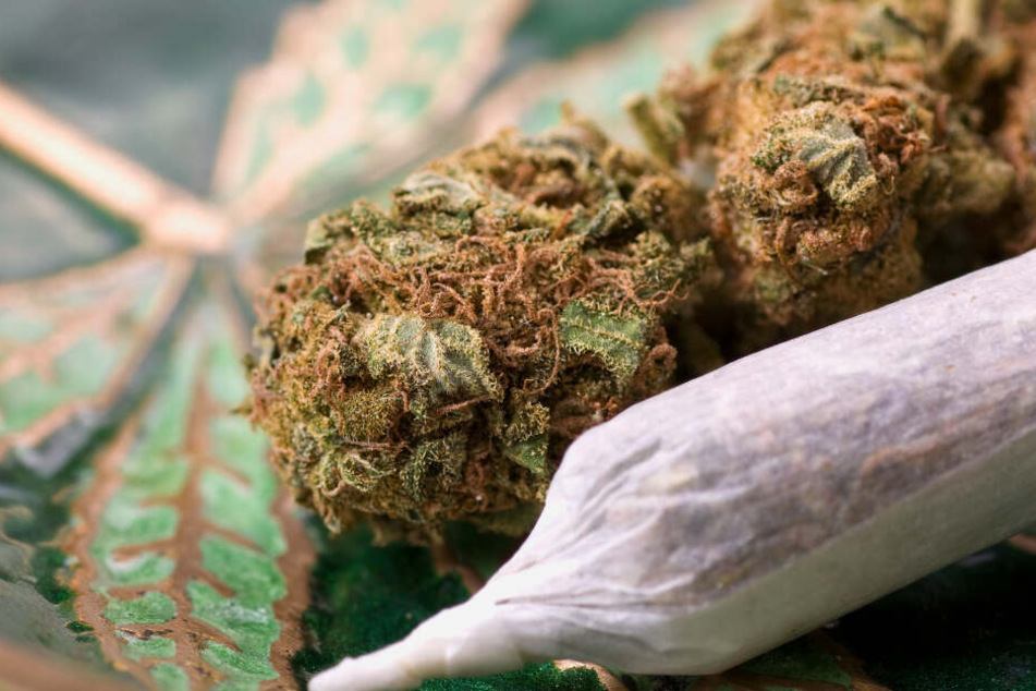 Der 21-Jährige hatte kurz vor seinem Besuch bei der Polizei Marihuana geraucht. (Symbolbild)