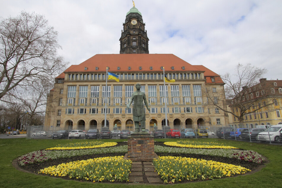 Am 12. Juni entscheiden die Dresdner, wer die nächsten sieben Jahre im Rathaus an der Spitze sitzt.