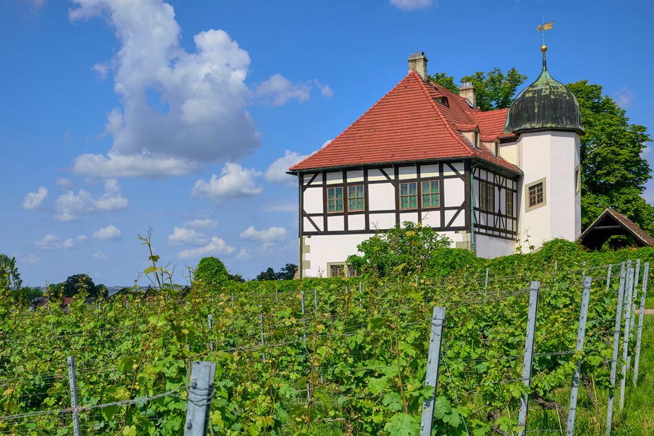 Wer Lust auf einen ereignisreichen Tag hat, ist beim Museumstag in der Hoflößnitz genau richtig.